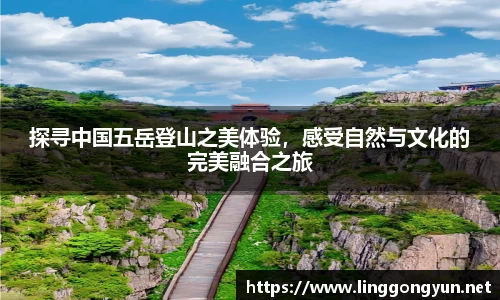 彩神v8官网