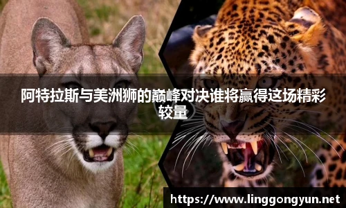 阿特拉斯与美洲狮的巅峰对决谁将赢得这场精彩较量