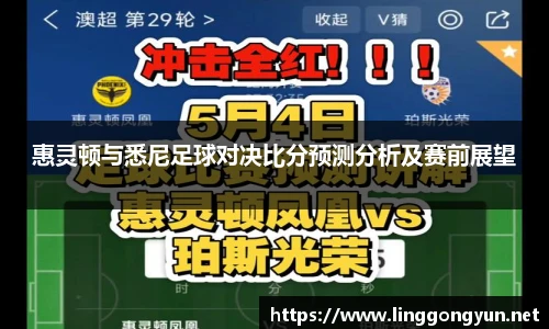 惠灵顿与悉尼足球对决比分预测分析及赛前展望