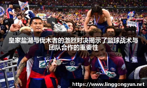 IM电竞官网入口