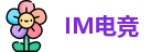 IM电竞